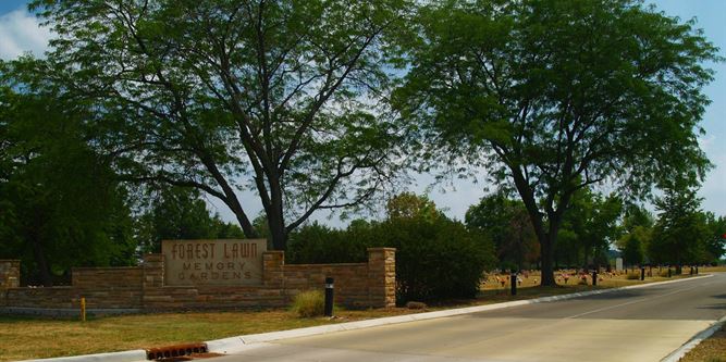 Forest Lawn Cover